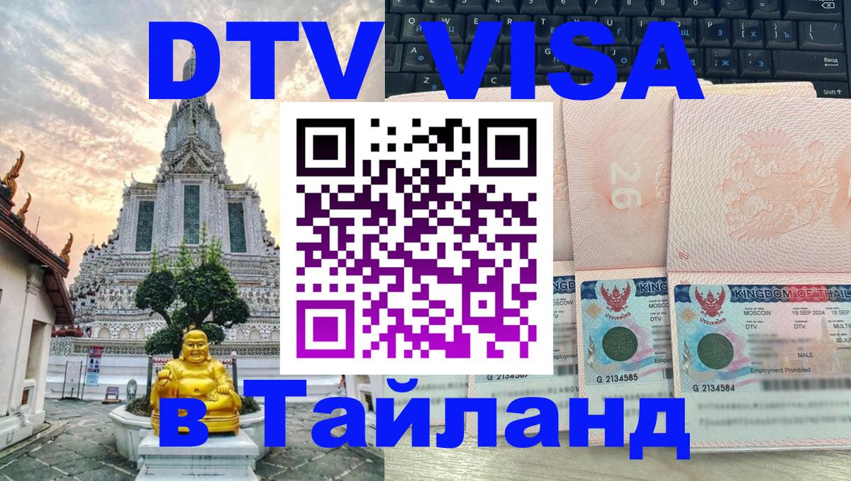 Оформление DTV визы под ключ: стоимость и тарифы, только загранпаспорт - 